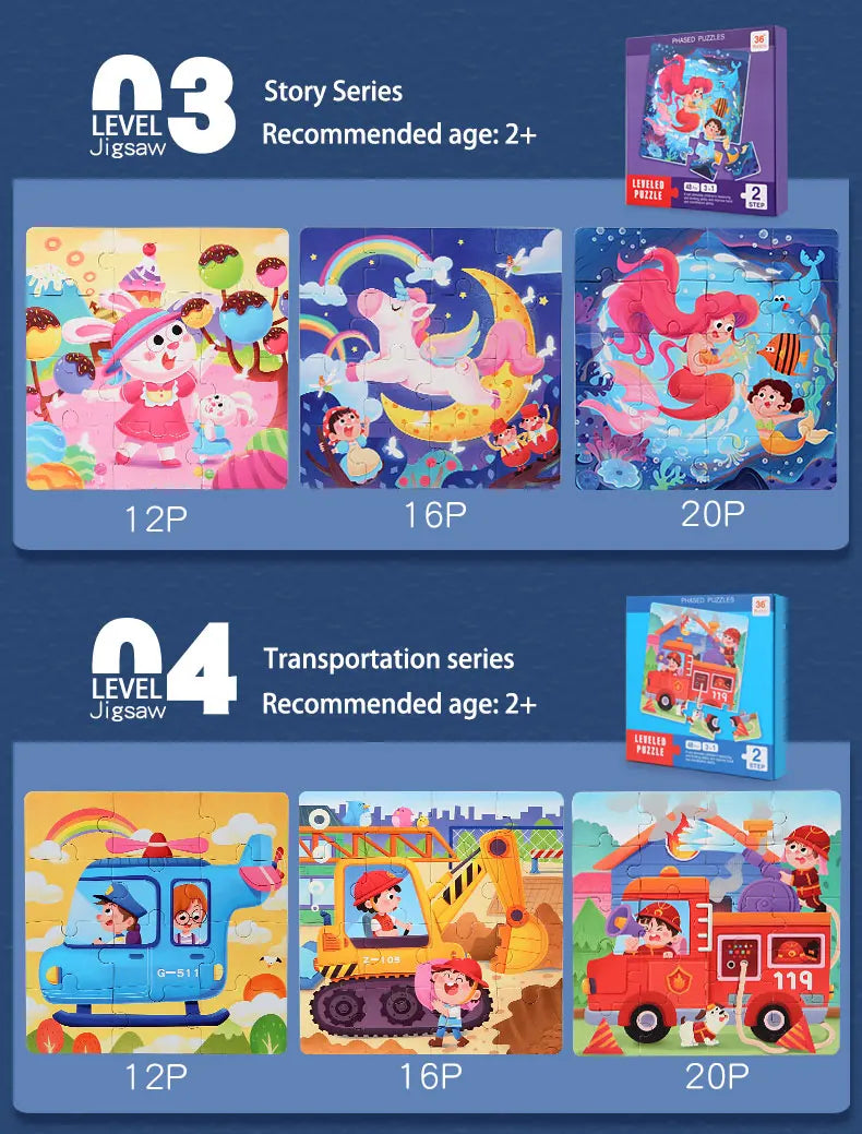 P013 - 3 in 1 Magnetic Leveled Puzzle