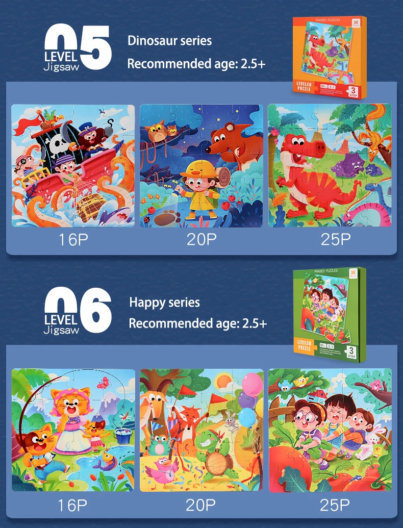 P013 - 3 in 1 Magnetic Leveled Puzzle
