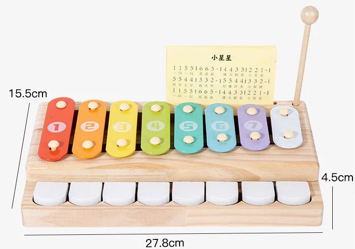 M333 - Fun piano playing toy